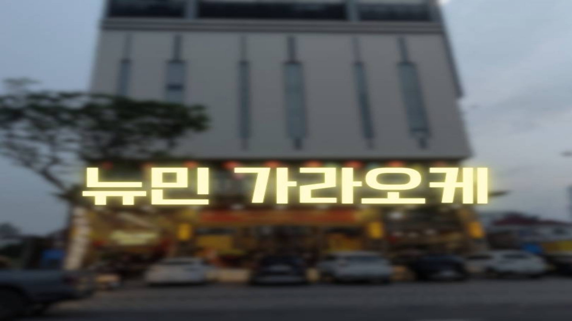 다낭 뉴민 KTV